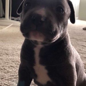 Meet your Posher, Wendy